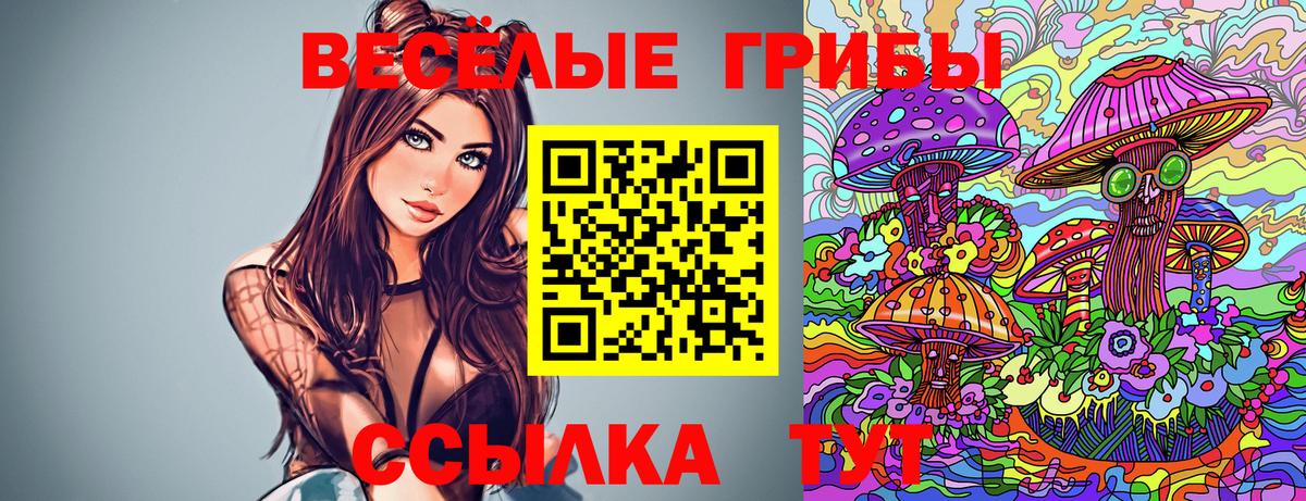 Псилоцибиновые грибы Magic Shrooms  Вход с VPN  Ессентуки  Псилоцибиновые грибы Cubensis 